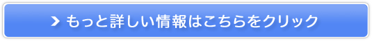 ێXLPAV[YuTCNvXv̔TCg